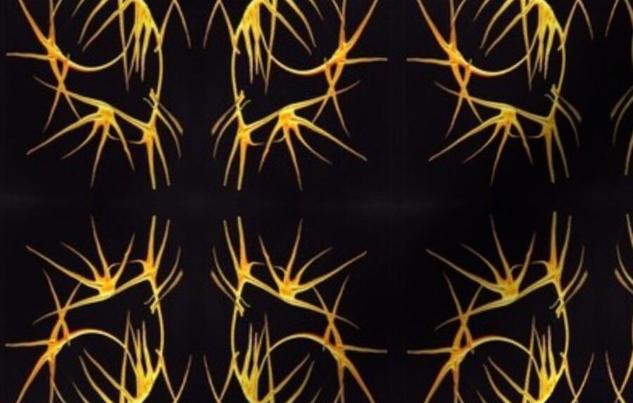 fabric by the yard, yard goods for sewing